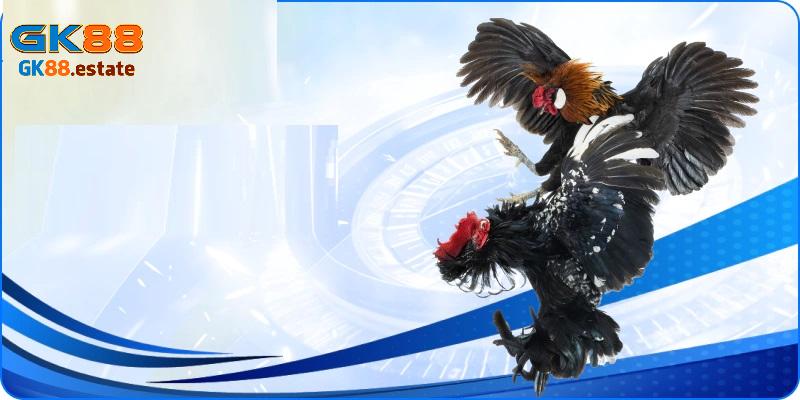 Sảnh game hội tụ nhiều ưu điểm nổi bật
